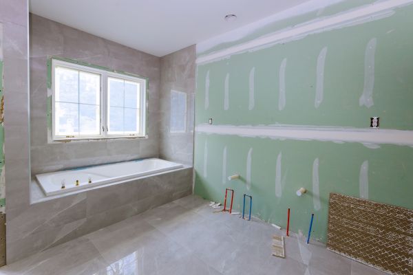 Bathroom Gutting in Dothan